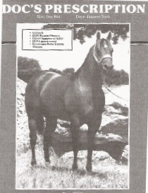 Doc's Prescription (Doc's grandsire) !