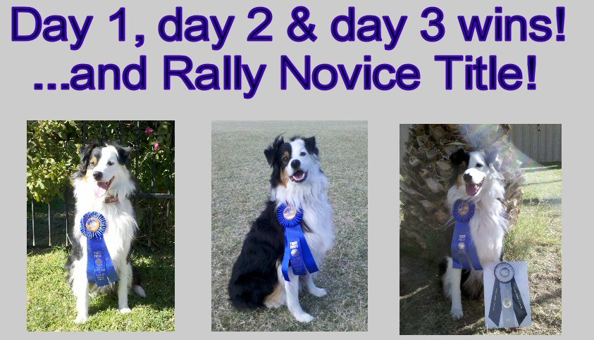  SUNNY winning his first title RALLY NOVICE TITLE!