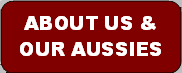 btn: About Our Aussies