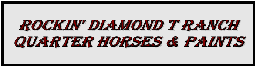 Rockin' Diamond T Ranch
