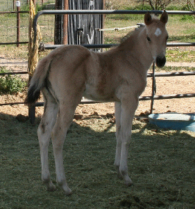 BITSY - Photo taken 03/19/08!!