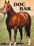 AQHA Hall of Fame - DOC BAR!  He is the great grandsire of DOC DUN IT HOLLYWOOD!