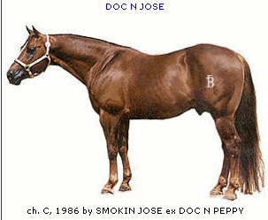 DOC N JOSE! Sire of Joses Smokin Rayna!