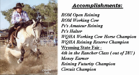 DUN IT WITH STING - Rockstar's sire who has AQHA ROMs (Register of Merits) in reining and Working Cowhorse!!