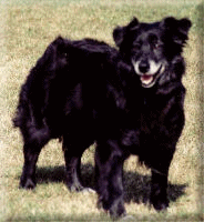HALL OF FAME DAM - FAIROAKS JAMI JO HOF!!