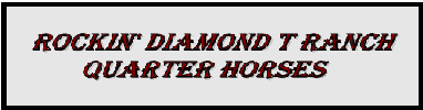 footer: Rockin'Diamond T Ranch