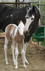 Picture taken at one week!