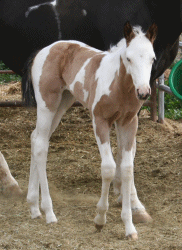 Picture taken at one week!