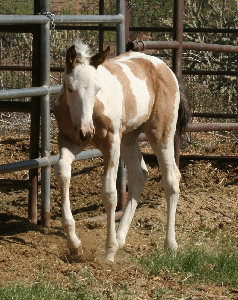 Picture taken at six weeks!