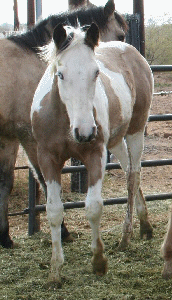 MISS PAINTED DOCALOCK - Photo taken 12/21/07!!