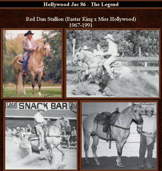 NRHA and AQHA Hall of Fame HOLLYWOOD JAC 86 (Sailor's grandsire)!