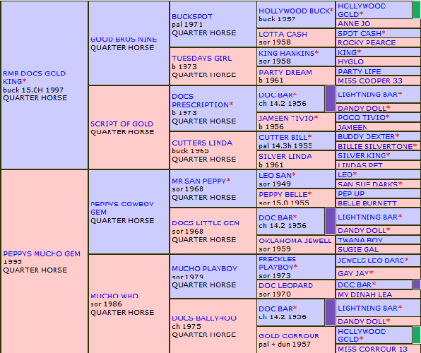 DOC N PEPPY PLAYGIRL's PEDIGREE!