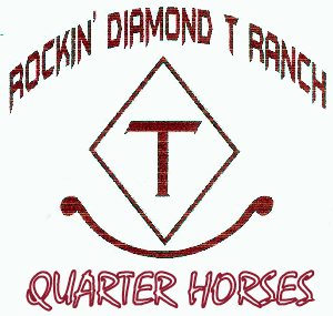 logo: Rockin' Diamond T Ranch