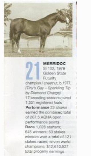 MERRIDOC