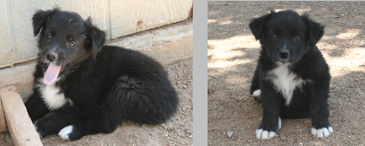 BLACK FEMALE!
