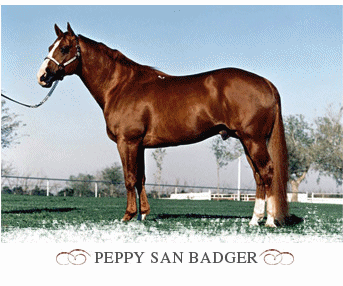 PEPPY SAN BADGER - who is a cutting legend including inductee into the NCHA HALL OF FAME!