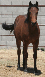 Picture taken 03/2007!