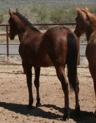 Picture taken 03/2007!