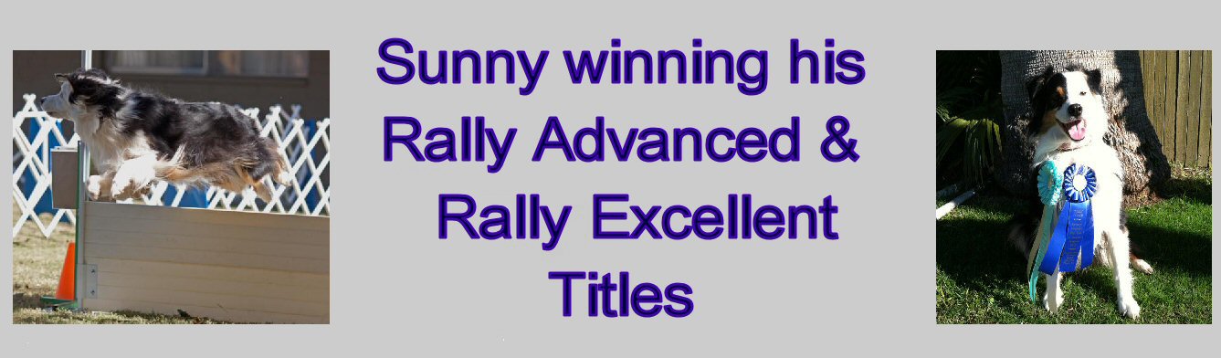  SUNNY has his RALLY EXCELLENT TITLE!