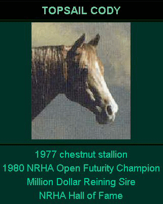 TOPSAIL CODY (Sailor's great grandsire)!