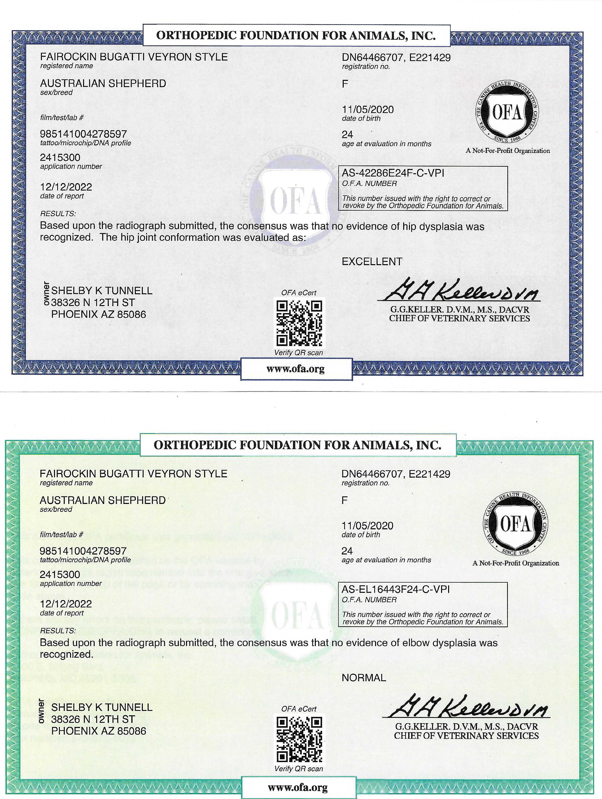 AKC/ASCA Fairockin Bugatti Veyron Style OFA Certificates