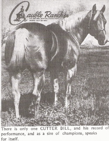 Cutter Bill (Doc's great grandsire)!