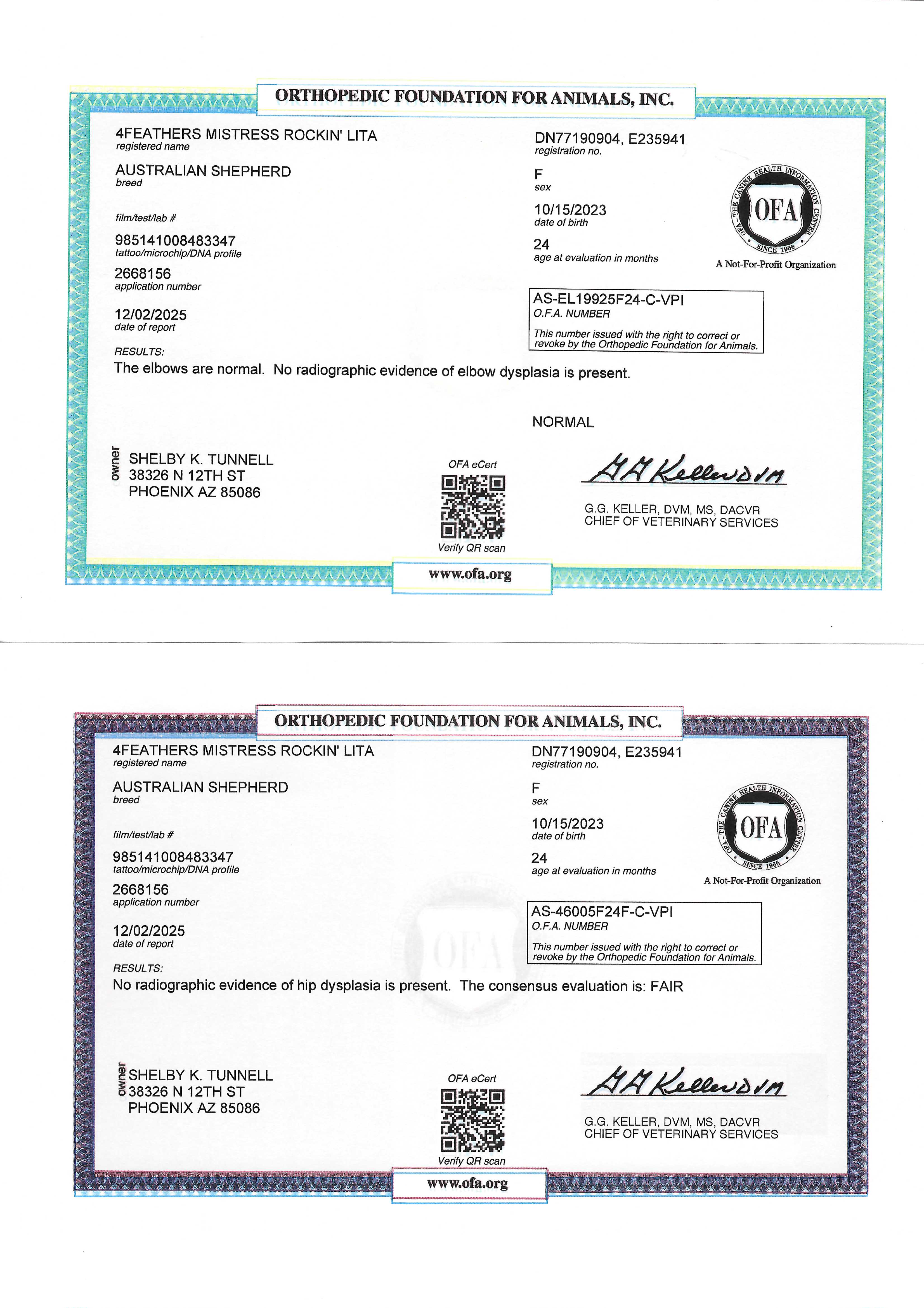 4Feathers Mistress Rockin' Lita's OFA Certificates