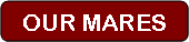 btn: Our Mares