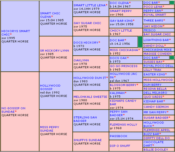 SMART HOLLYWOOD CHARM'S PEDIGREE!