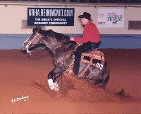 HICKORYS SMART CHIC! Sire of Smart Cookie Oh Lena!