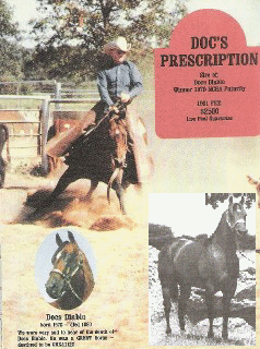 Doc's Prescription (Profit's great grandsire) !