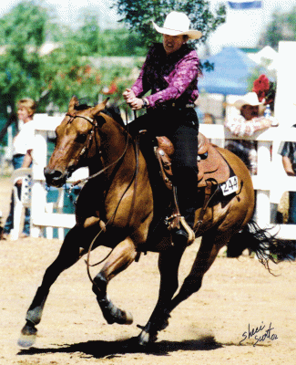 Lena's SIRE AQHA Open World Show Qualifier in reining, Dun It In Step!