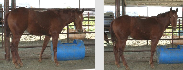 EMBER!