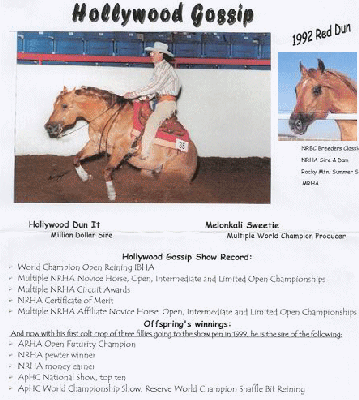 No Gossip on Sundae's SIRE IBHA Open World Champion reiner Hollywood Gossip!