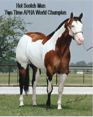 HOT SCOTCH MAN - TWO TIME WORLD CHAMPION!  