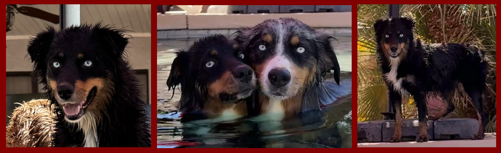 4FEATHERS MISTRESS ROCKIN' LITA!