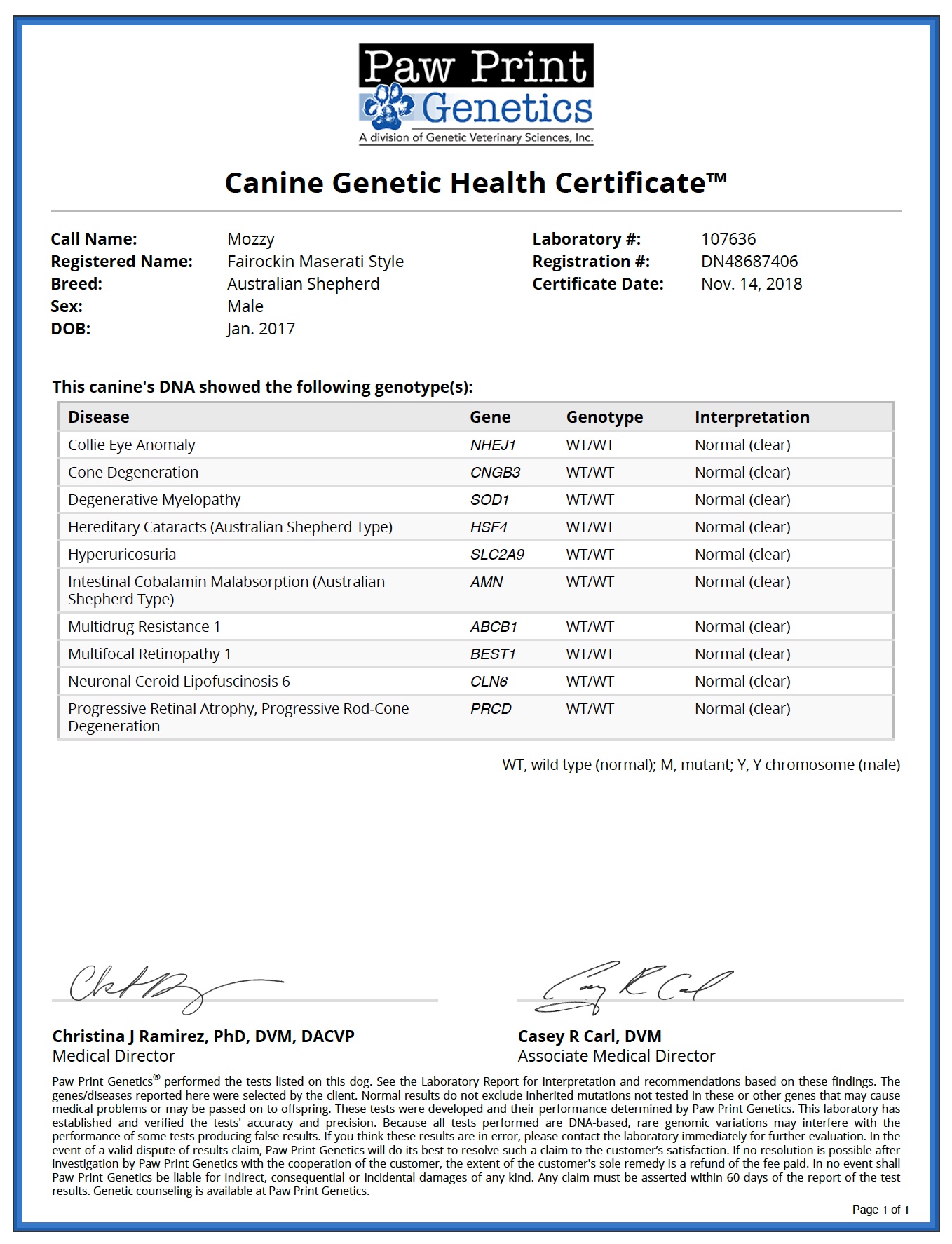 Fairockin Maserati Style