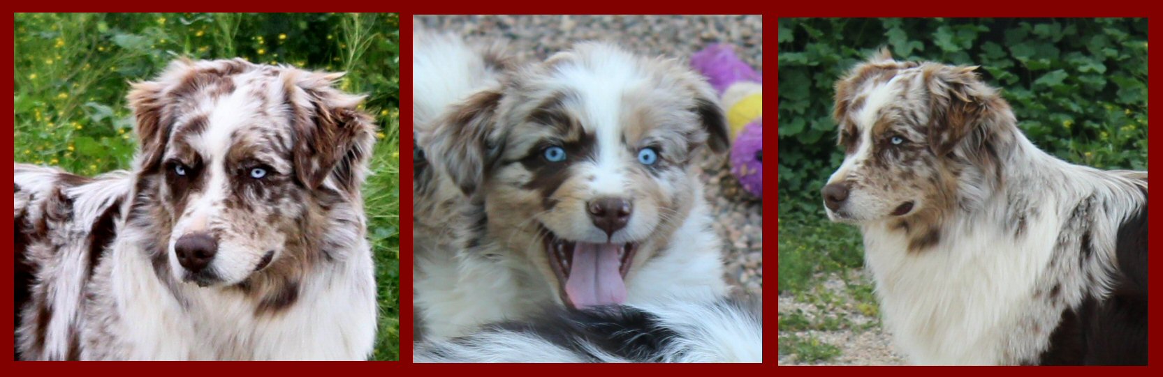 FAIROCKIN MASERATI STYLE