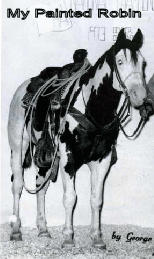 MY PAINTED ROBIN - National Champion Roping Horse!