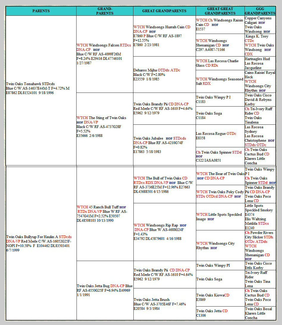 Rayna's Pedigree