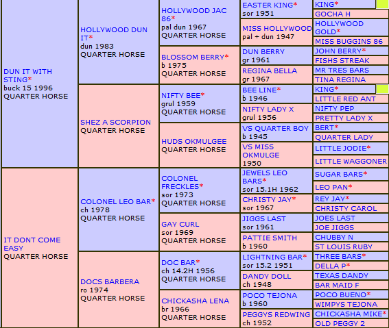 DOC DUN IT HOLLYWOOD's Pedigree!