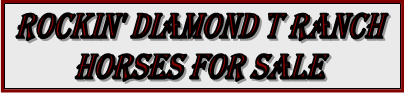 Rockin' Diamond T Ranch: Horses for Sales