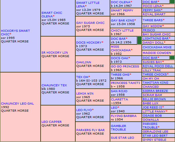 Smart Cookie Oh Lena Pedigree!