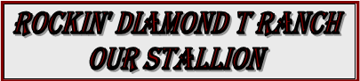 Rockin' Diamond T Ranch: Our Stallions