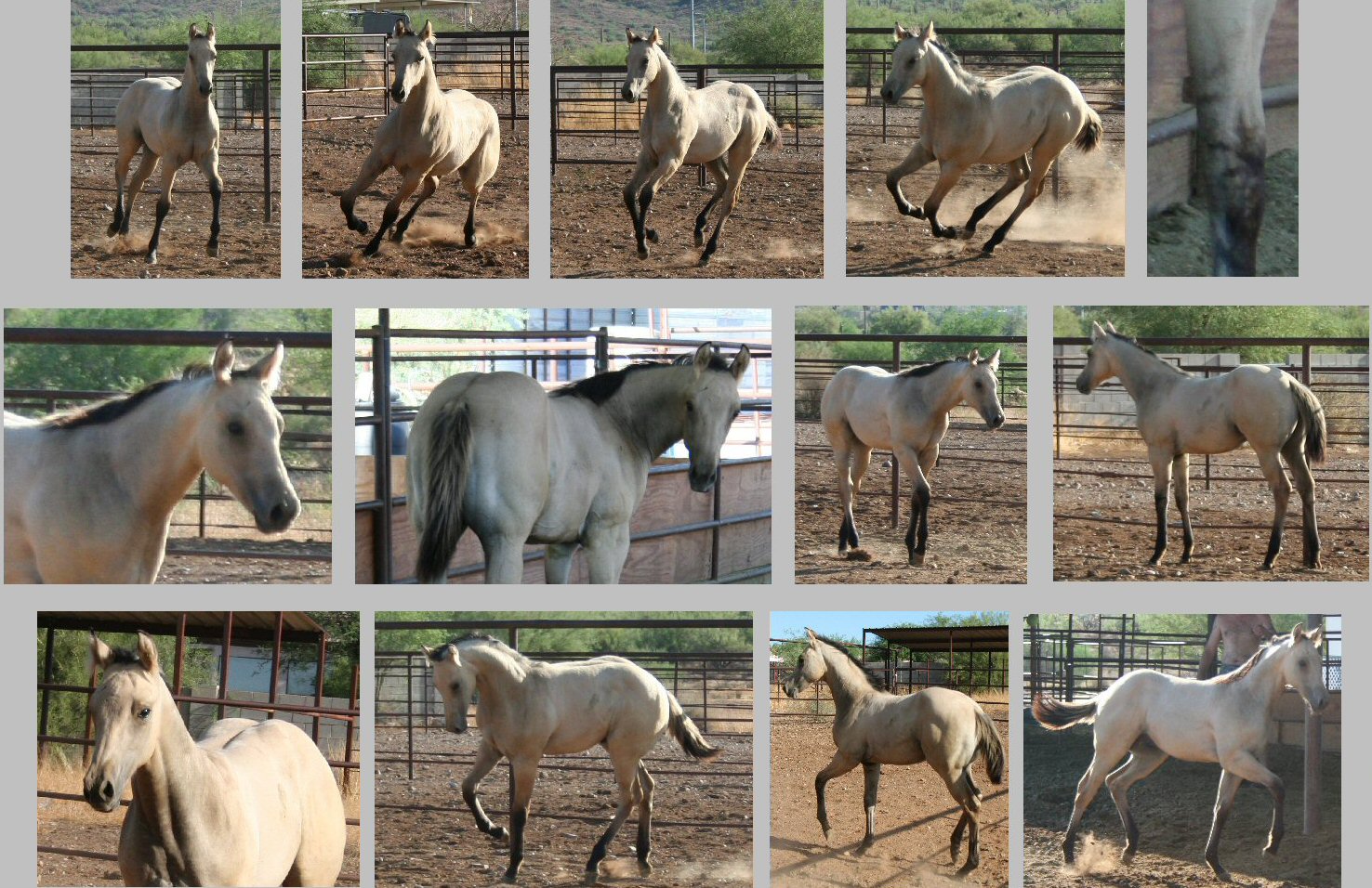 Photos taken August 2012!