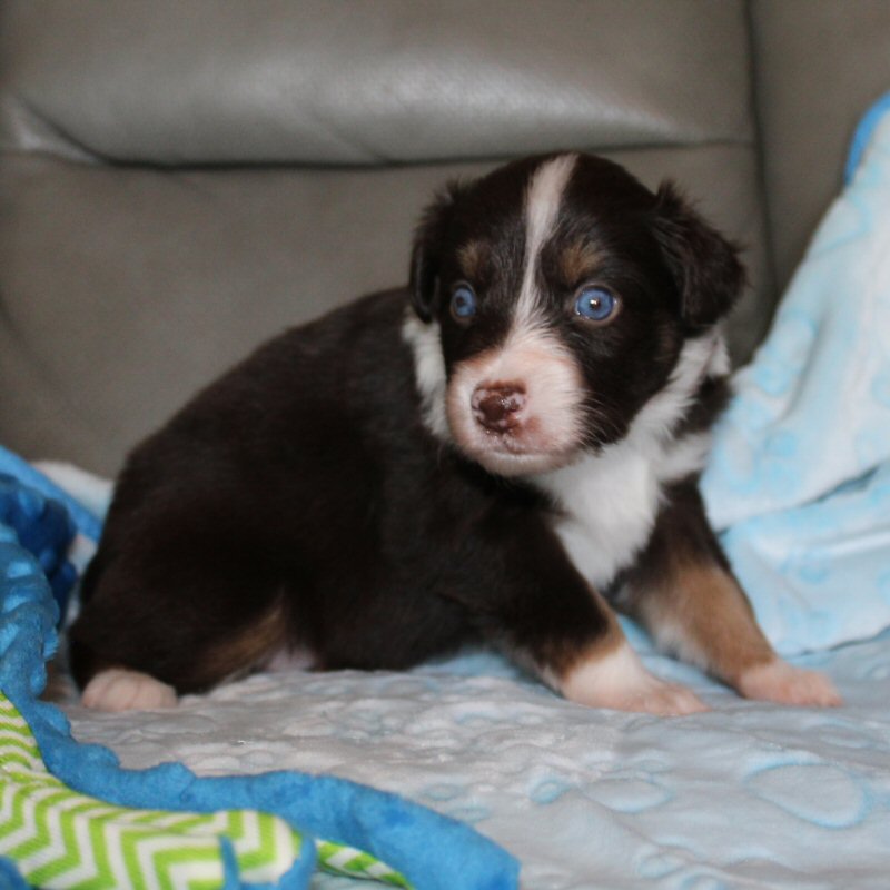  Picture COMING SOON! 