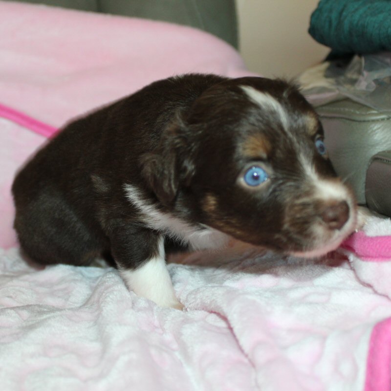  Picture COMING SOON! 