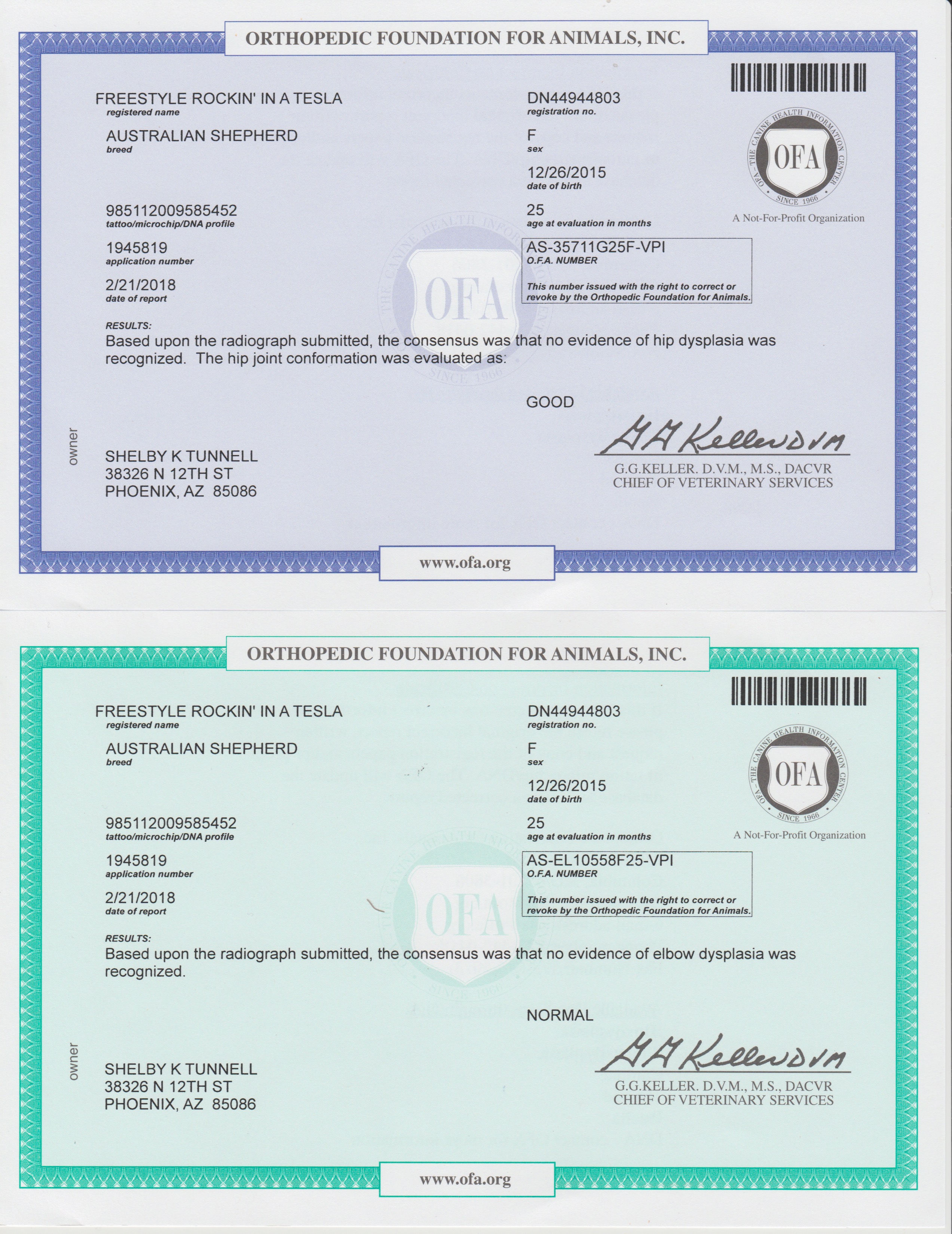 Freestyle Rockin' in a Tesla OFA Certificates