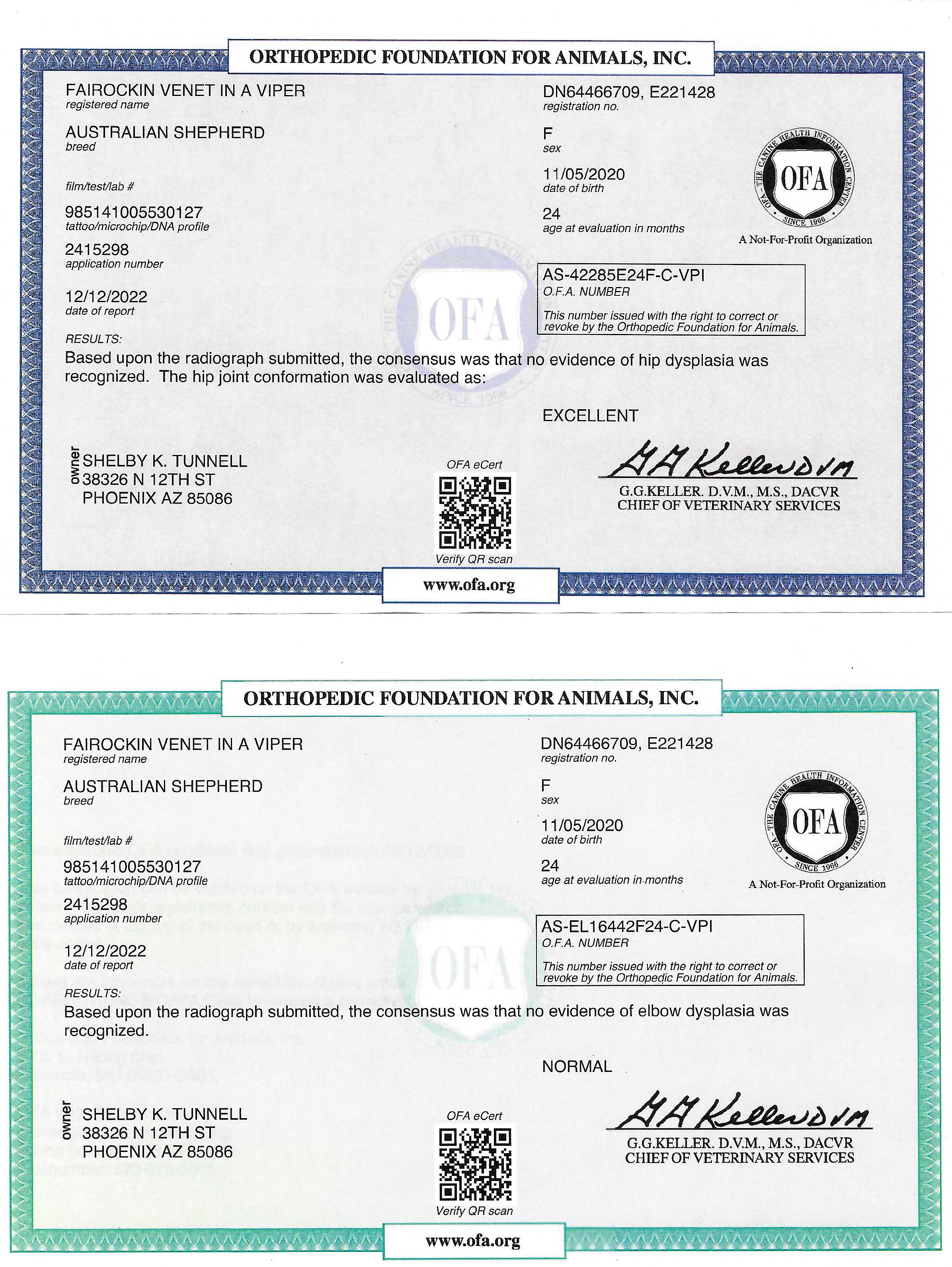 Fairockin Venet in a Viper OFA Certificates